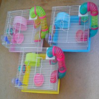 Jaula Hamster